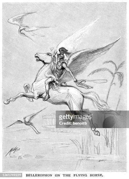 illustrazioni stock, clip art, cartoni animati e icone di tendenza di bellerofonte sul cavallo volante - pegasus