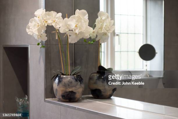 property interior decor - orchid order stock pictures, royalty-free photos & images