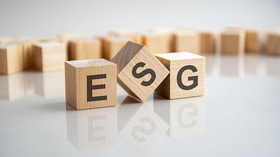 ESGV: ESG May Be Harmful For Your Wealth