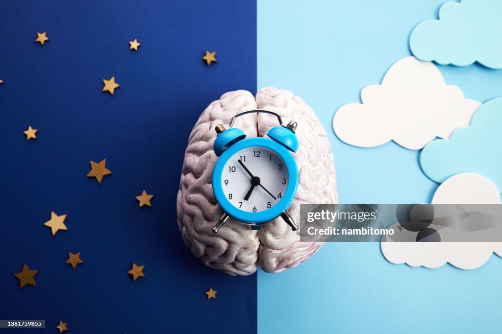 The circadian rhythms are controlled by circadian clocks or biological clock