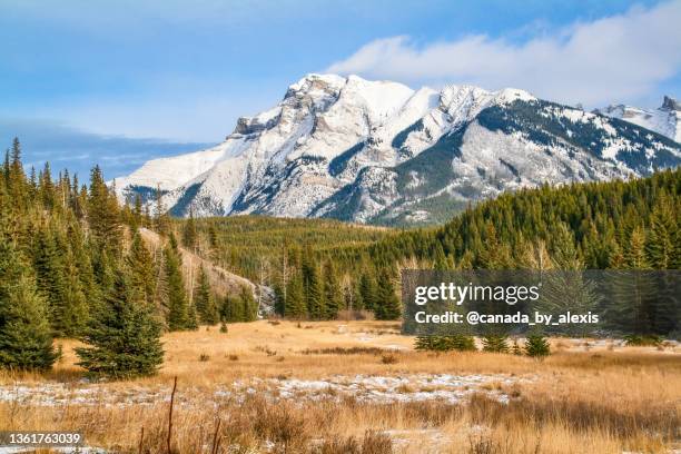 bright and beautiful mountains - fairmont banff springs stock pictures, royalty-free photos & images