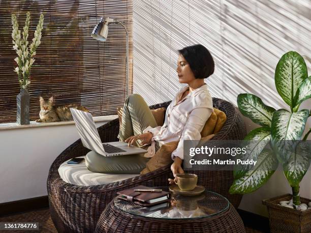 asian woman working on laptop from home, with sunlight streaming through bamboo blinds - malaiischer herkunft stock-fotos und bilder