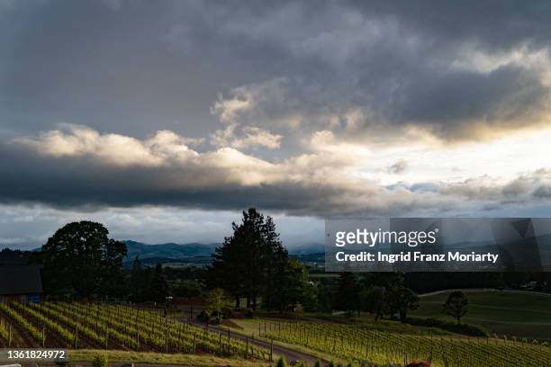 wine country landscapes - willamette tal stock-fotos und bilder