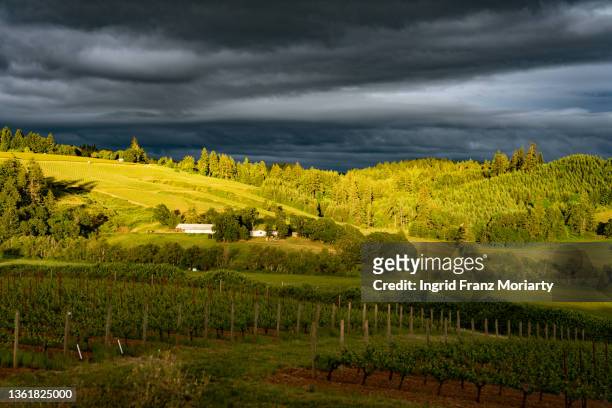 wine country landscapes - willamette tal stock-fotos und bilder