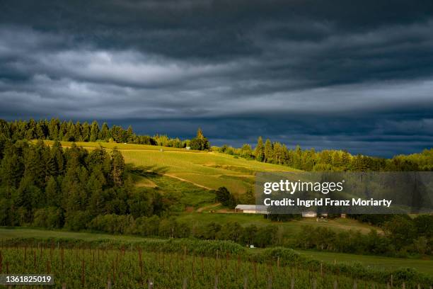 wine country landscapes - willamette tal stock-fotos und bilder