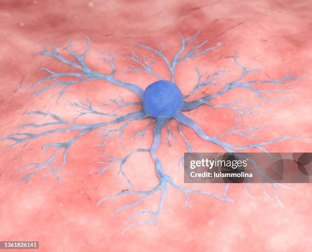 human cancer cell - metastasis stock pictures, royalty-free photos & images