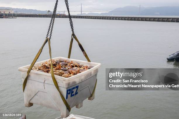 Crane lifts large tote carrying hundreds of Dungeness crabs to family-owned wholesale seafood company, Pezzolo Seafood, at Pier 45 in San Francisco,...