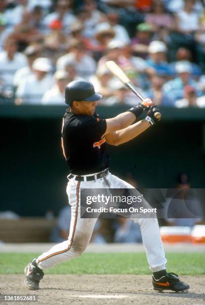 Segui Baseball David Segui Photos and Premium High Res Pictures - Getty Images