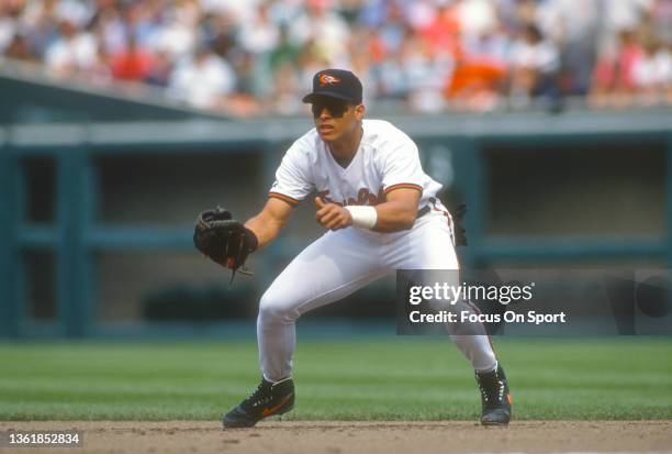 Segui Baseball 355 David Segui Photos & High Res Pictures - Getty Images