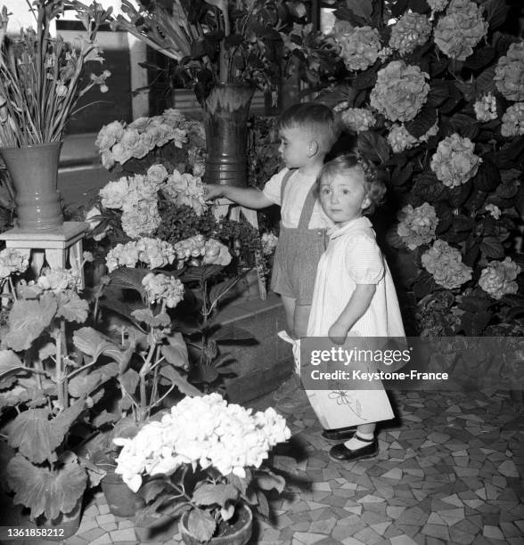 Des enfantschoisissent des fleurs pour la fête des mères, le 13 juin 1952.