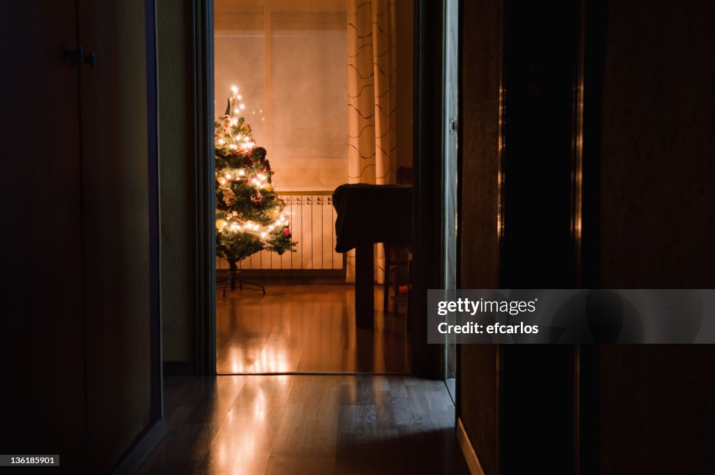Christmas lights. Night indoor scene