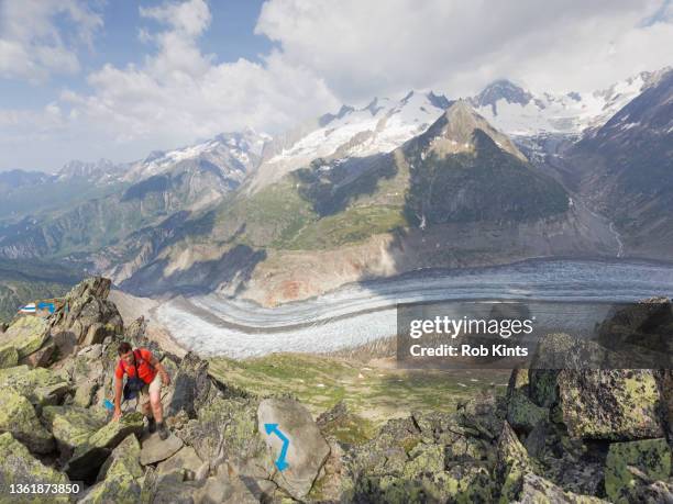 woman walking on alpine mountain ridge high above the aletsch glacier - aletsch glacier stock pictures, royalty-free photos & images