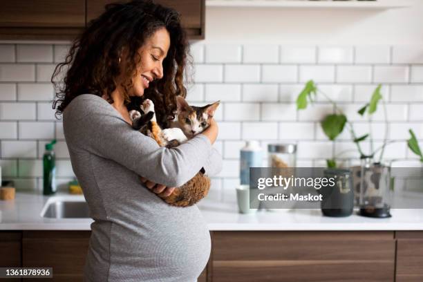 happy pregnant woman carrying cat in kitchen - pregnant cat - fotografias e filmes do acervo