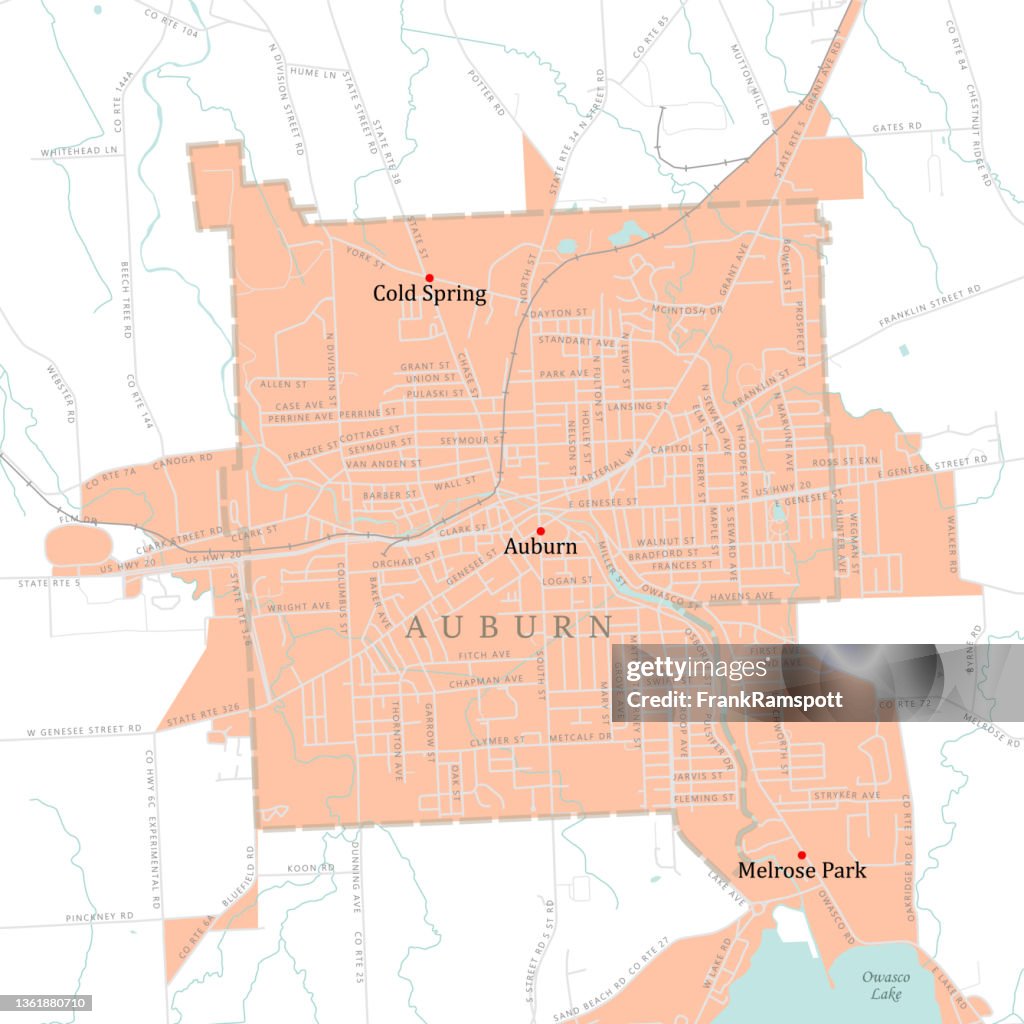 NY Cayuga Auburn Vector Road Map