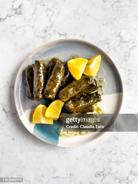 plate of stuffed grape leaves (dolma) on white background - griekse-gerechten stockfoto's en -beelden