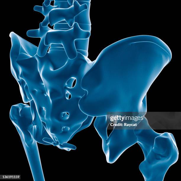 radiografia de perspectiva pélvis - virilha humana imagens e fotografias de stock