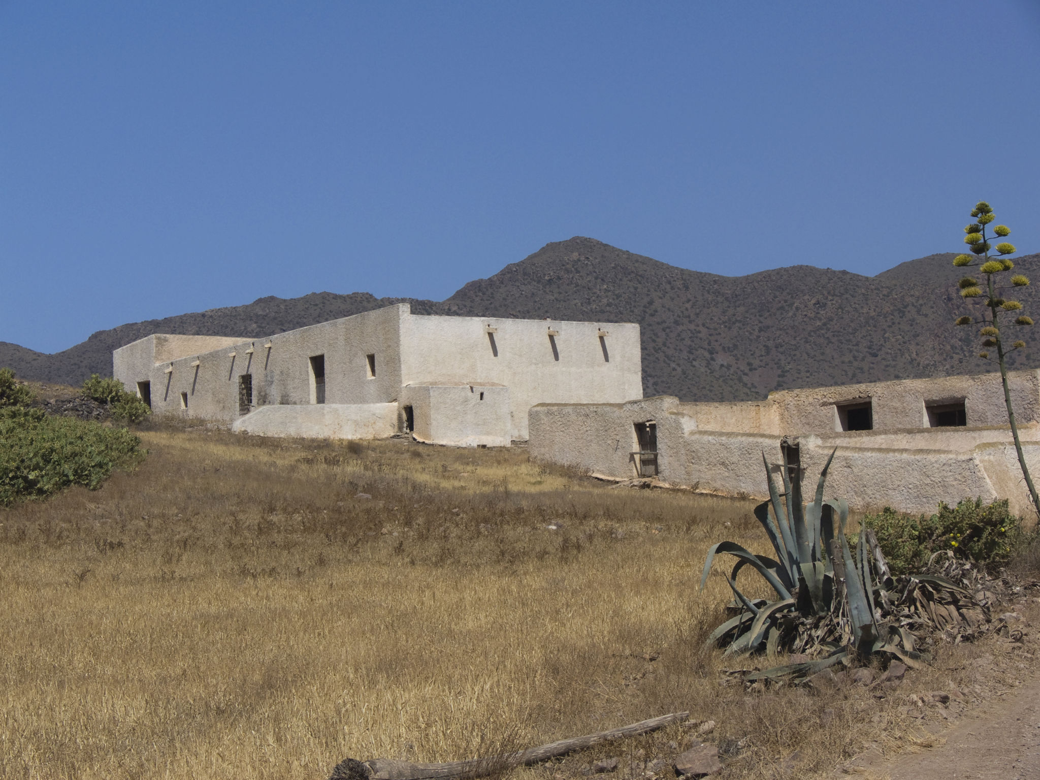 For a few dollars more For a few dollars more