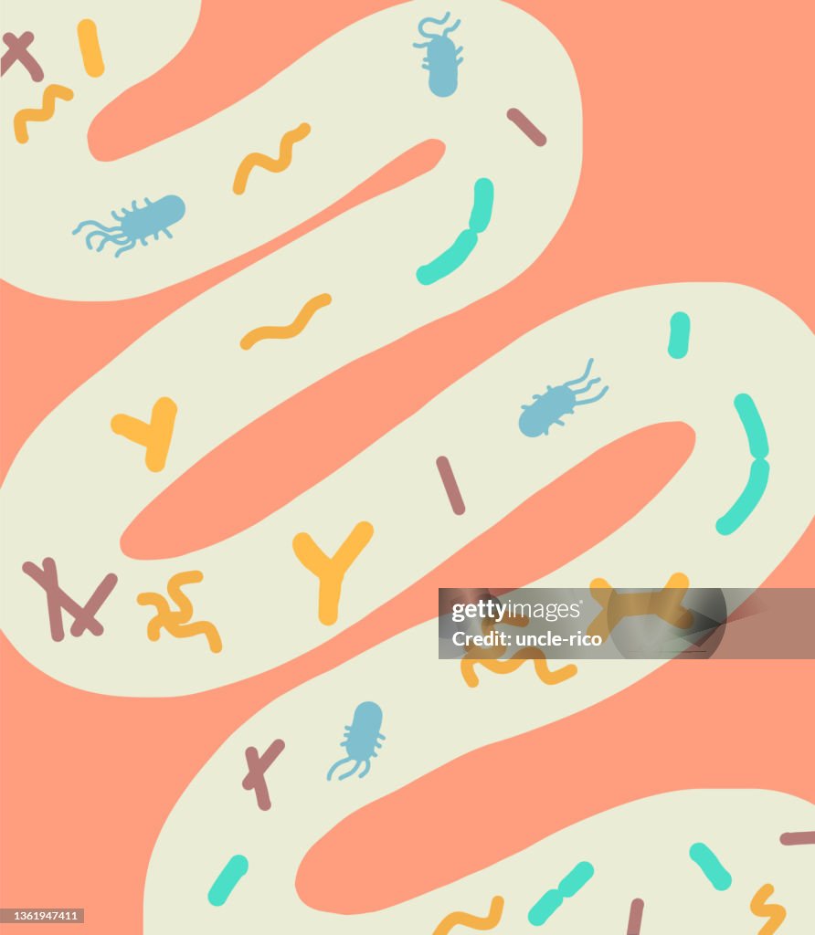 Ilustración de intestinos con bacterias