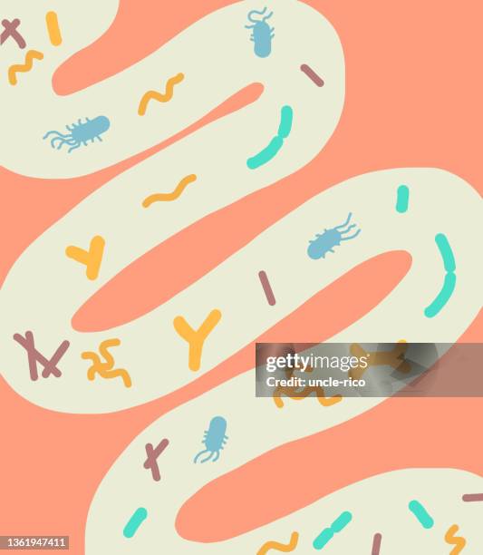 stockillustraties, clipart, cartoons en iconen met illustration of intestines with bacteria - spijsverteringsstelsel