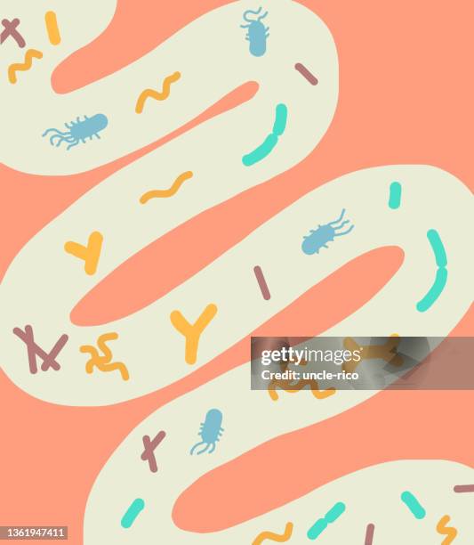 illustration of intestines with bacteria - gut health stock illustrations