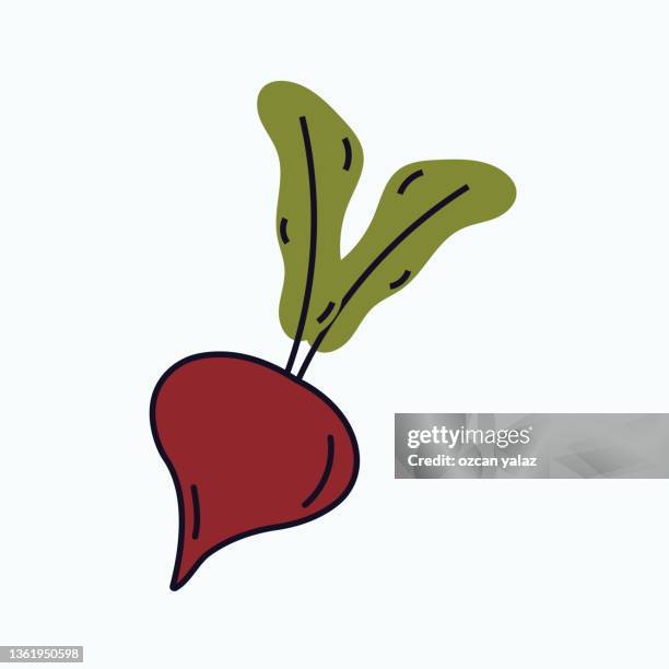 Vegetable Vector Illustration For Gift Card Swimmer Certificate Or Banner Icon Patch Label High-Res Vector Graphic