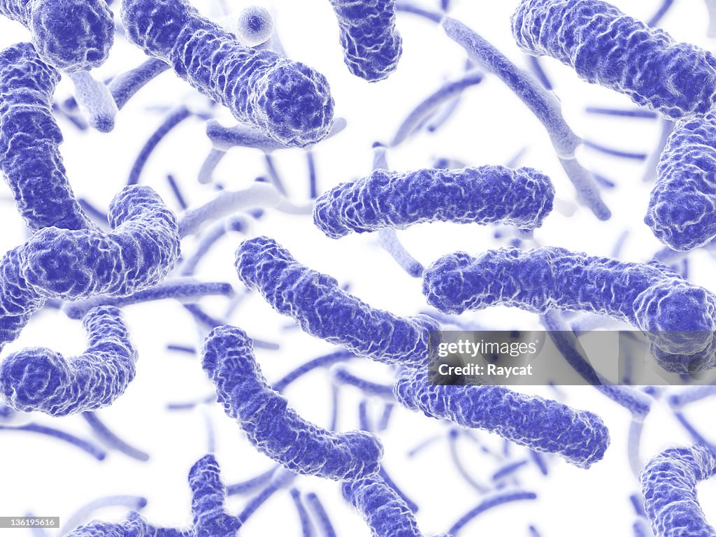 Flujo de bacterias
