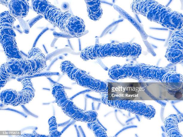 bacteria flowing - bacillus subtilis stockfoto's en -beelden