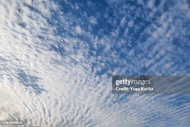 青空に浮かぶ白い鱗雲 (white clouds in a blue sky) - 巻積雲 ストックフォトと画像