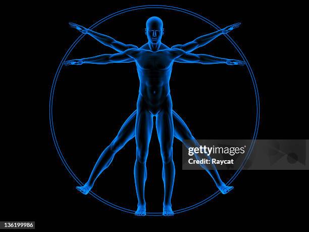 vitruvian man - the human body anatomy body stock pictures, royalty-free photos & images