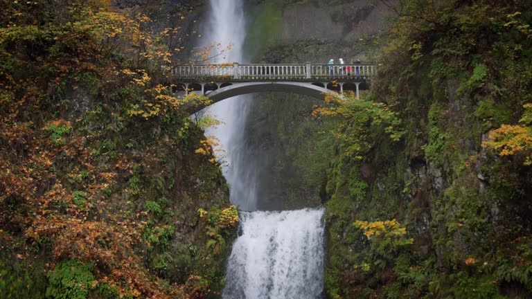 https://media.gettyimages.com/id/1362001606/video/multnomah-falls-and-bridge-in-oregon.jpg?b=1&s=640x640&k=20&c=EStJzQpqSgaaiZ04mBDp4W53Ye4tVxImDNydSLmkLPk=