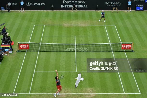 Gull flies over the court as Argentina's Francisco Cerundolo serves to US player Mackenzie McDonald during their men's singles semi-final tennis...