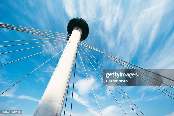 low angle view of steel cables of suspension bridge - cable stayed bridge stock pictures, royalty-free photos & images