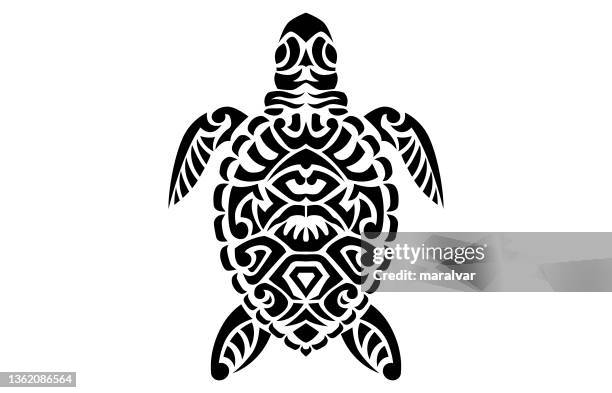 ilustraciones, imágenes clip art, dibujos animados e iconos de stock de la tortuga - dermoquélidos