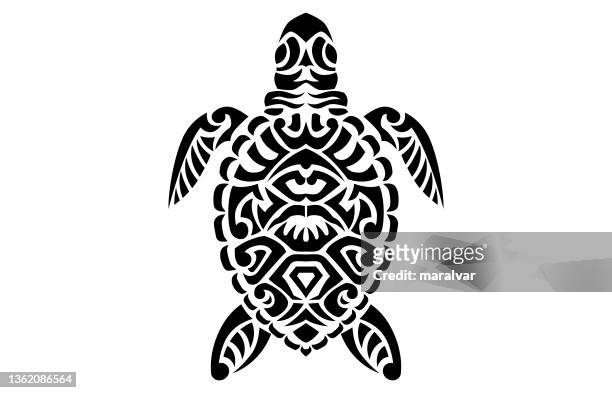 ilustrações, clipart, desenhos animados e ícones de tartaruga - tartaruga marinha
