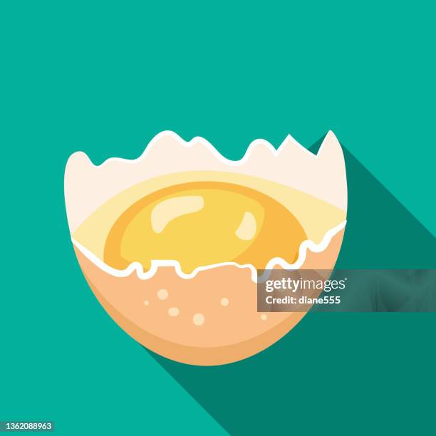 flat design half of a cracked chicken egg icon - raw food stock illustrations