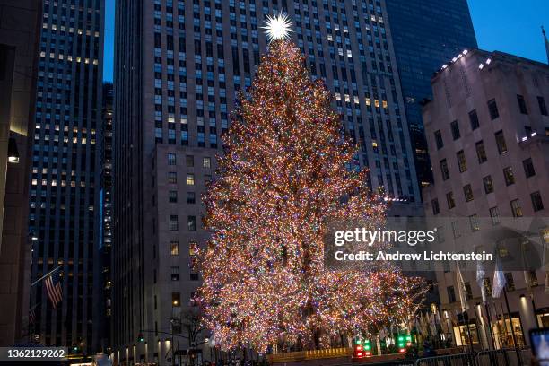 The New York City Christmas tree lights shine on Christmas Eve, December 24 in Rockefeller Center, New York City.