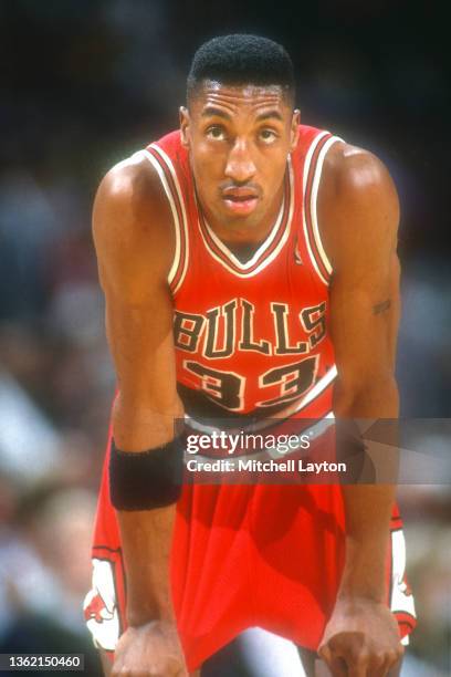 Scottie Pippen of the Chicago Bulls looks on during a NBA basketball game against the Washington Bullets at Capital Centre on December 23, 1992 in...