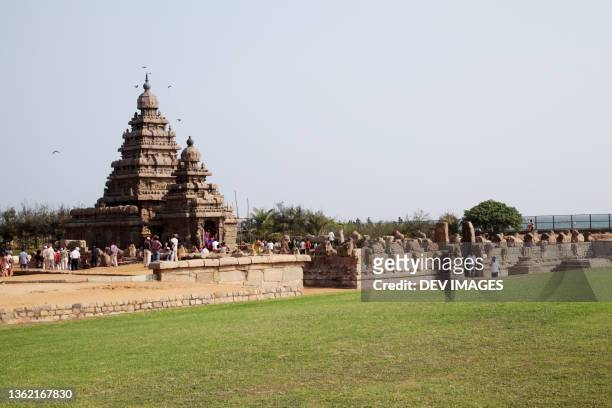 mamallapuram shore temple, tamilnadu - madras indien stock pictures, royalty-free photos & images