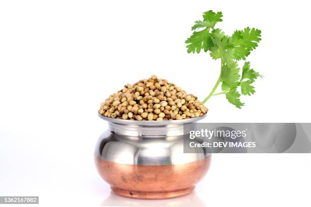 bowl of coriander seeds and leave - koriander stockfoto's en -beelden