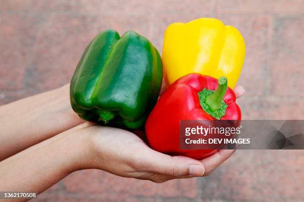 fresh pepper vegetables - pimiento dulce fotografías e imágenes de stock