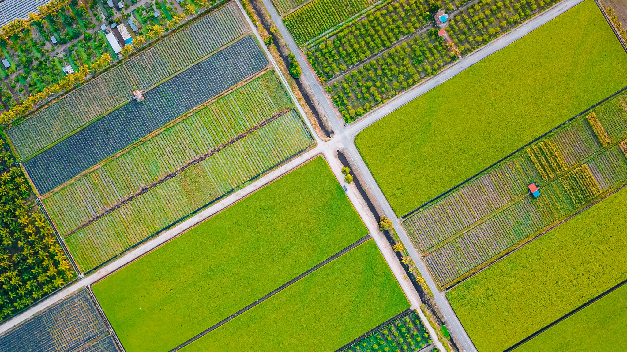 sustainable farming