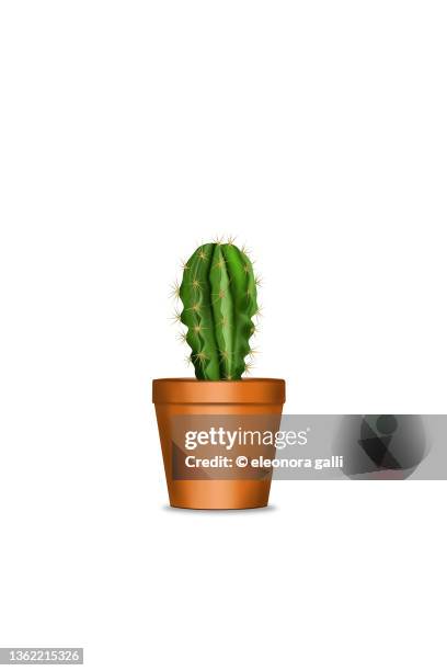 cactus - flower pot illustration stock pictures, royalty-free photos & images