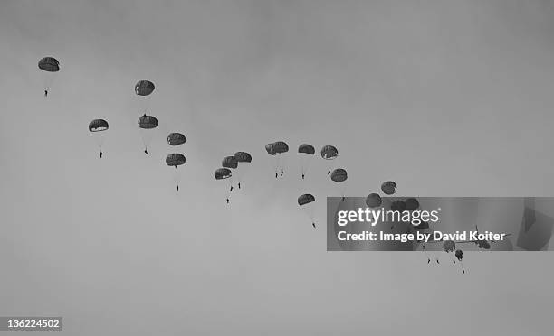 paratroopers jumping from airplane - paratrooper stockfoto's en -beelden