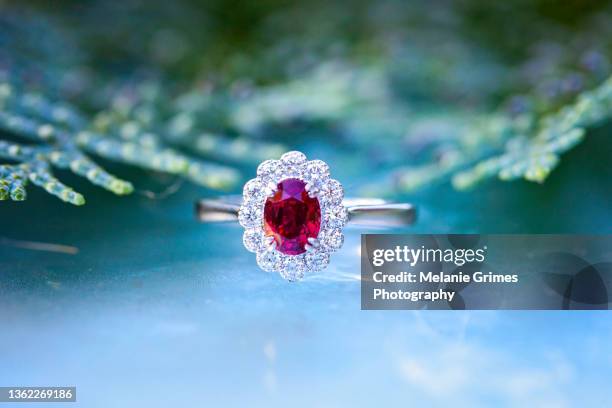ruby and diamond ring, fir tree background - ruby stock pictures, royalty-free photos & images