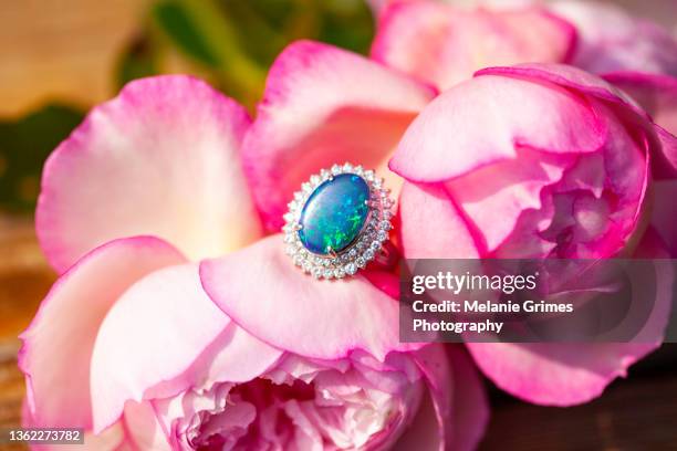 opal and diamond ring on pale pink roses - opal gemstone stock pictures, royalty-free photos & images