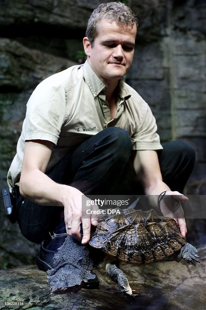 Guido Westhoff, leader of the tropical a