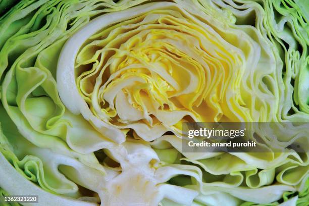 cabbage cut closeup texture layers - cabbage stock pictures, royalty-free photos & images