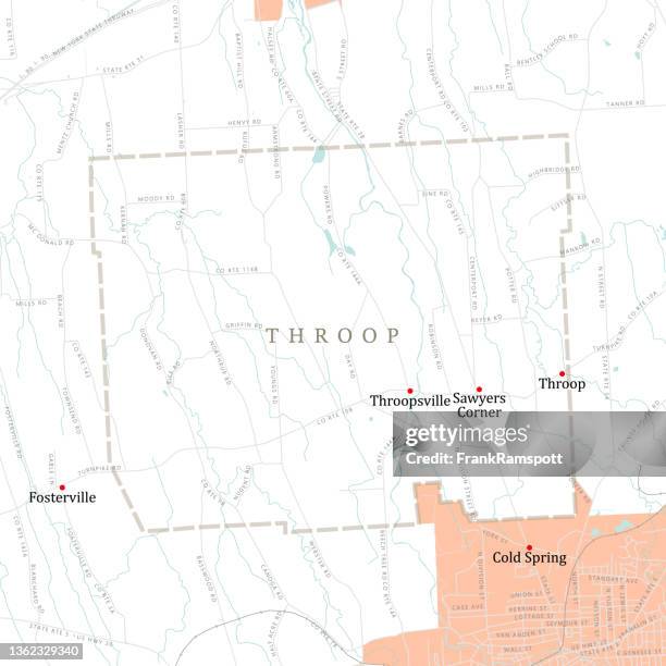 Ny Cayuga Throop Vector Road Map High-Res Vector Graphic