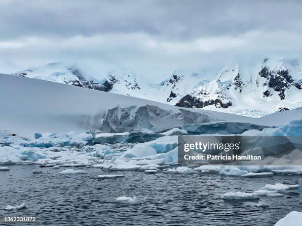 ice floe, danco island - ice shelf stock pictures, royalty-free photos & images