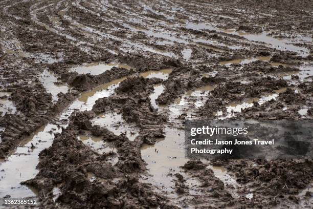 Muddy Ground Muddy Ground